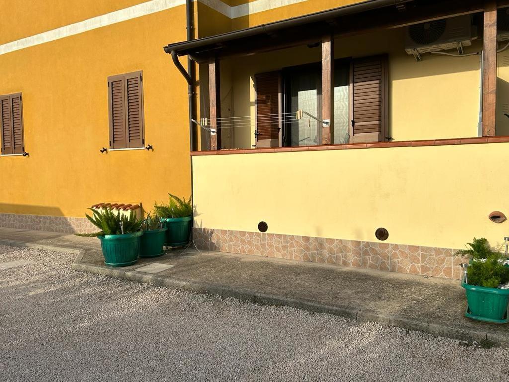 Triangolo Delle Bermuda B&B Termoli Eksteriør billede